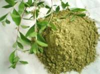 Shankhpushpi Powder Shankhpushpi Powder