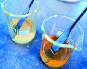 Epoxy Resins Epoxy Resins
