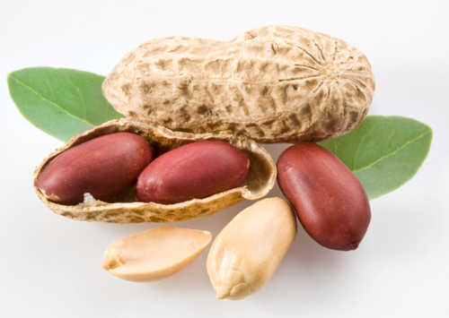 Roasted Groundnut Roasted Groundnut