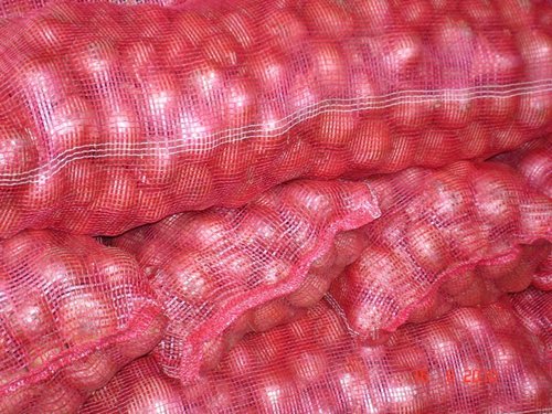 Red Onion Red Onion