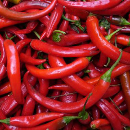 Chili Peppers Chili Peppers