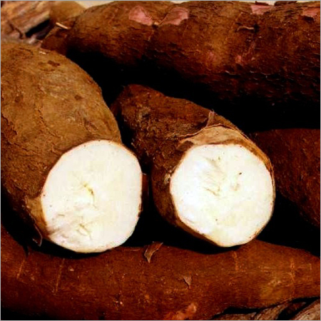 Organic Tapioca Starch Organic Tapioca Starch