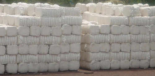 Raw Cotton Bales Raw Cotton Bales