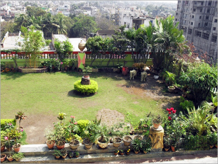 Marriage Party Garden Solution Marriage Party Garden Solution