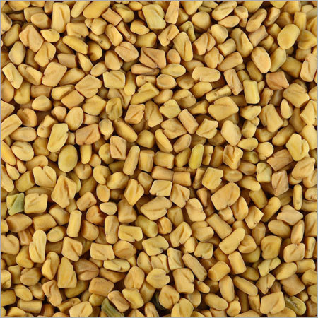 Fenugreek Seeds Fenugreek Seeds
