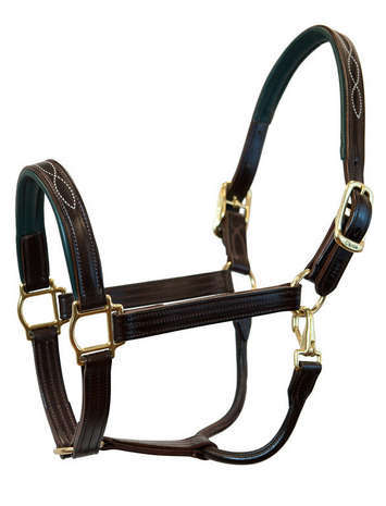 Horse Accessories Horse Accessories