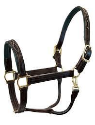 Saddlery Harness Saddlery Harness