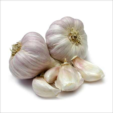 Organic Garlic Organic Garlic