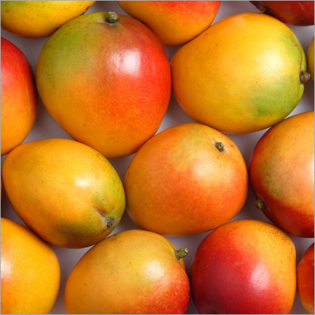 Fresh Mango Fresh Mango