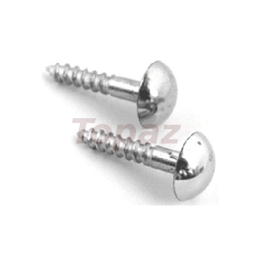 Brass Mirror Screw Brass Mirror Screw