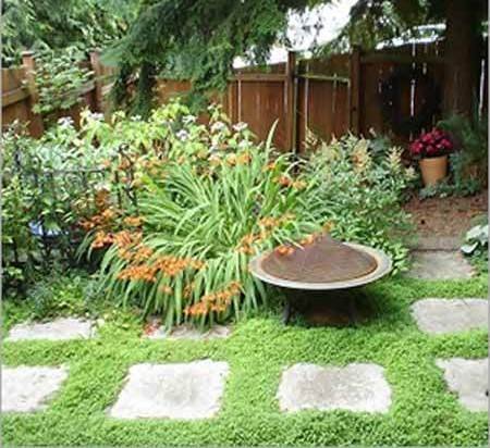 Garden Maintenance Services Garden Maintenance Services
