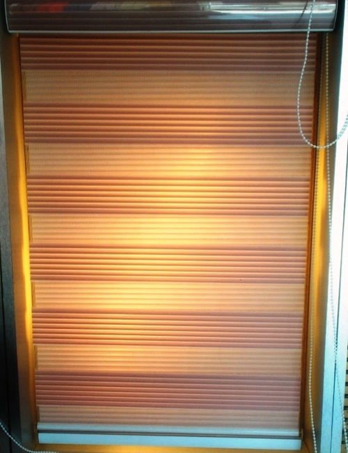 Window Zebra Blinds Window Zebra Blinds