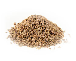 Dill Seeds Dill Seeds