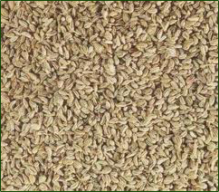 Ajwain Seeds Ajwain Seeds