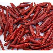 Red Chilly Red Chilly