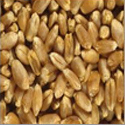 Milling Wheat Milling Wheat