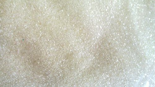 Fresh Sugar Fresh Sugar