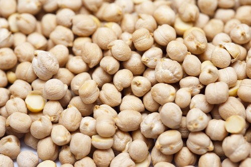 Chickpeas Exporters Chickpeas Exporters