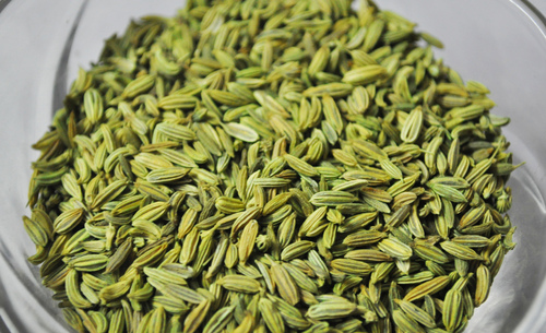 Fennel Seeds Exporters in india Fennel Seeds Exporters in india