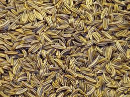 Fennel Seeds Fennel Seeds