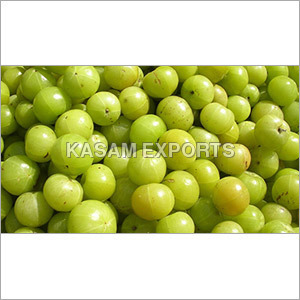 Emblica Officinalis Emblica Officinalis