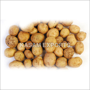 Fresh Potato Fresh Potato