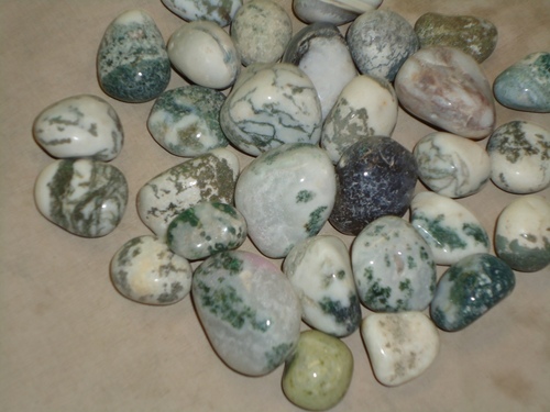 Zebra Polished Pebbles Zebra Polished Pebbles
