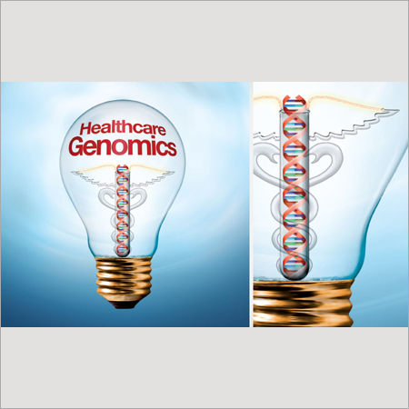 Graphic Illustration Services Graphic Illustration Services