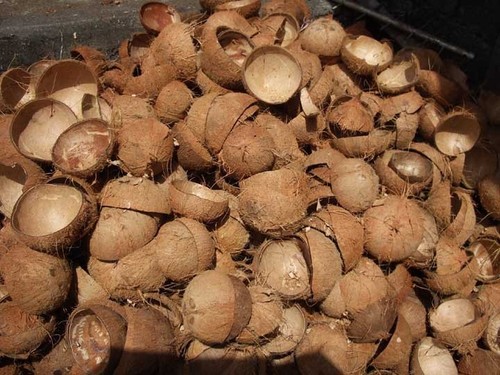Coconut Shell Products Coconut Shell Products