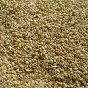 Natural White Sesame Seeds Natural White Sesame Seeds