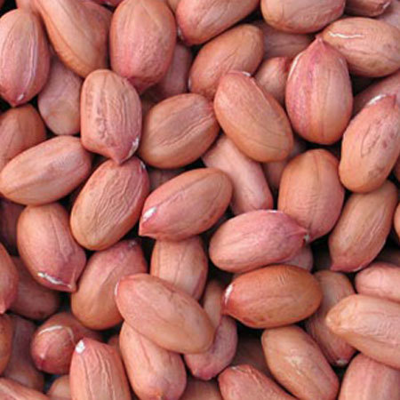 Ground Peanuts Kernel Ground Peanuts Kernel
