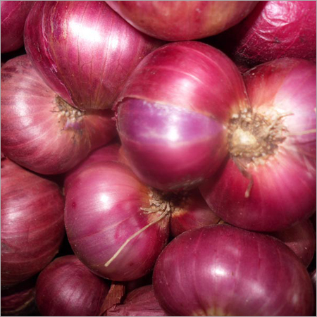 Red Onion Red Onion