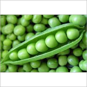 Frozen Green Peas Frozen Green Peas