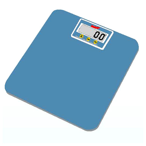Portable Electronic Person Scale Portable Electronic Person Scale