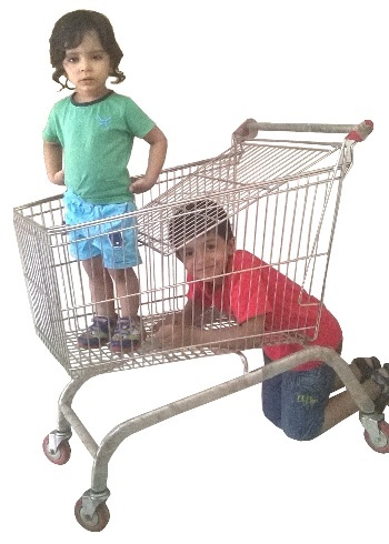SS SHOPPING TROLLEY SS SHOPPING TROLLEY
