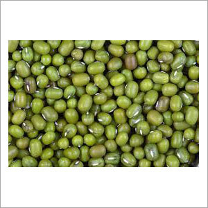 Green Mung Beans Green Mung Beans