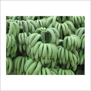 Fresh Cavendish Bananas Fresh Cavendish Bananas