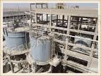 Dcp Plant Dcp Plant