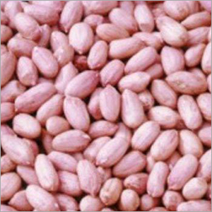 HPS Groundnut Kernels HPS Groundnut Kernels