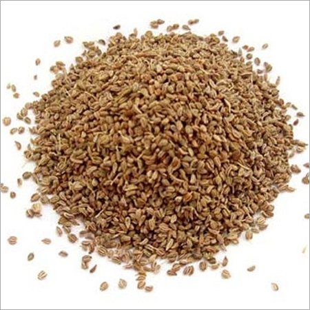 Ajwain Seeds Ajwain Seeds