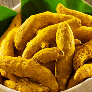 Turmeric Finger Turmeric Finger