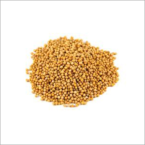 Yellow Mustard Seeds Yellow Mustard Seeds
