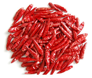 Red chilli Red chilli