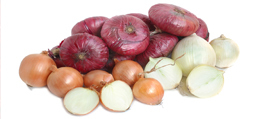 Onion Onion