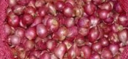 Sambar Onion Sambar Onion