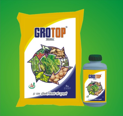 Rhizobium Biofertilizer Rhizobium Biofertilizer