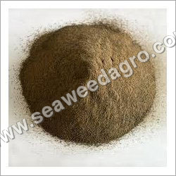 Tasmanian Seaweed Powder Tasmanian Seaweed Powder