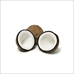 Semi Husked Coconuts Semi Husked Coconuts