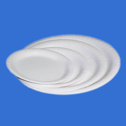 Disposable Paper Plates Disposable Paper Plates