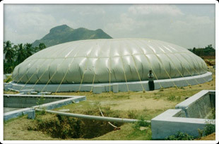 Bio Gas Balloon Bio Gas Balloon